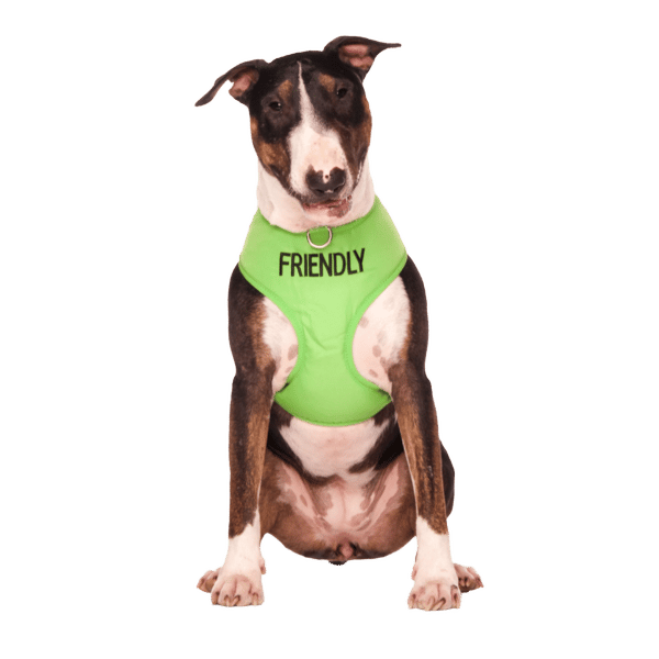 Friendly Dog Vest Harness