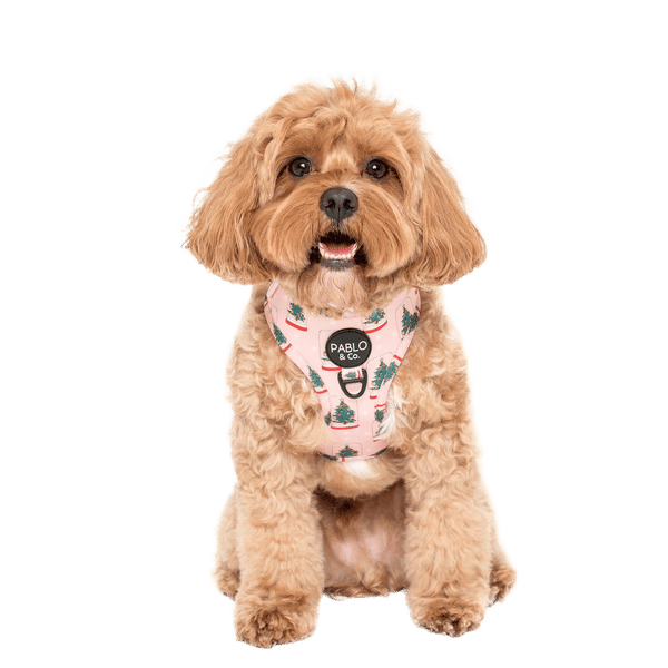 Snow Globes Dog Adjustable Harness
