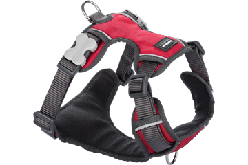 Red Dingo Padded Harness