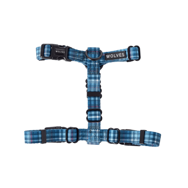 Lochie All Purpose Harness 2.0