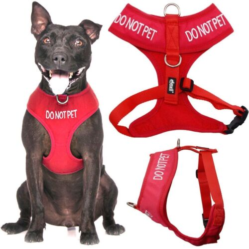 Do Not PET Vest Harness