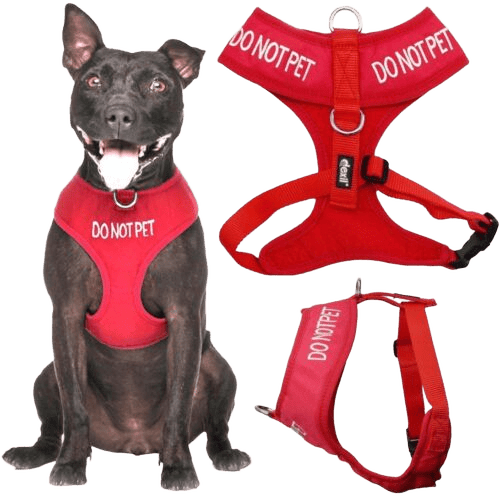 Do Not PET Vest Harness