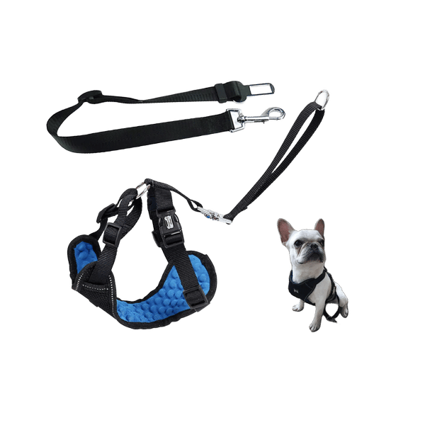 Deluxe Car Safety Harness And Seat Belt
