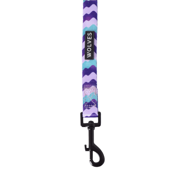 Sulley Lead