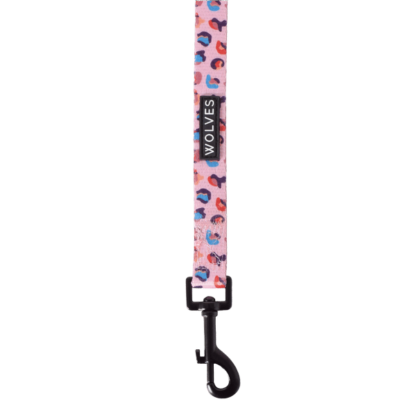 Lottie Standard Dog Lead