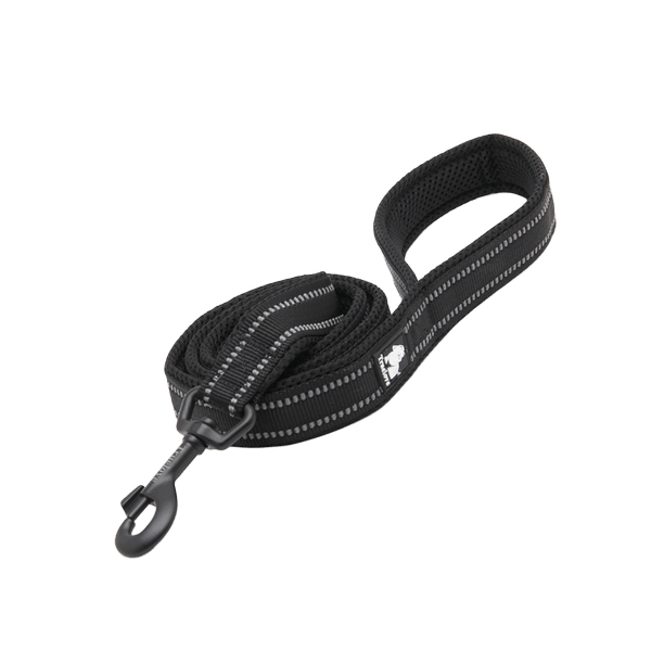 Mesh Padded Dog Leash