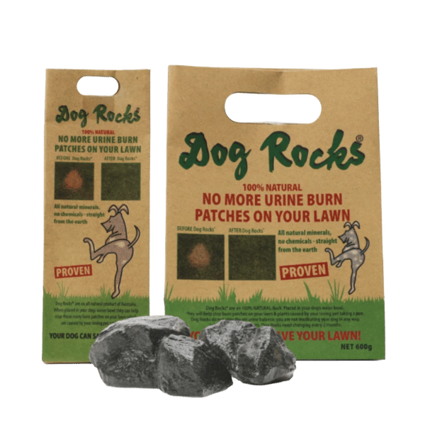 Dog Rocks