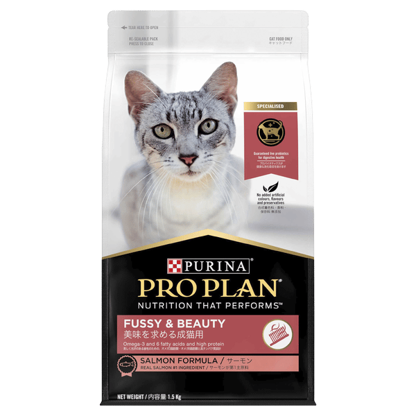 Fussy & Beauty Cat