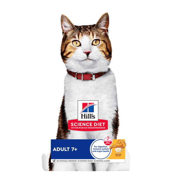 Science Diet Adult Cat 7+