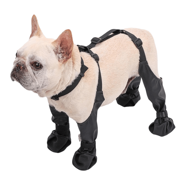 Paw Protection Harness