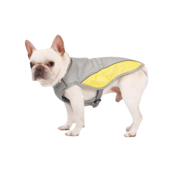Icy Dog Cooling Vest