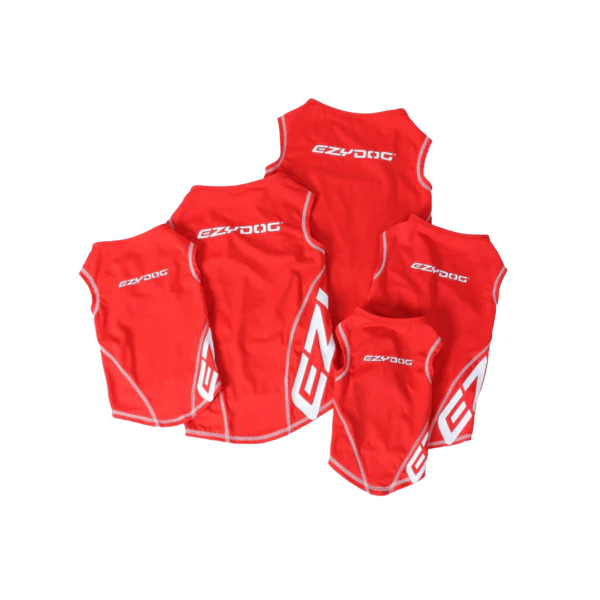 Rashie Shirt