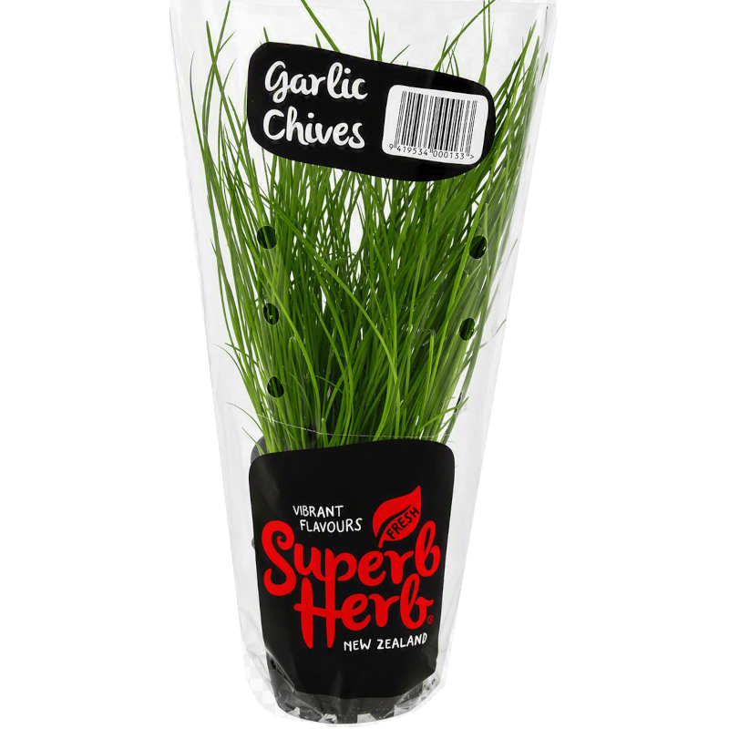 Potted Chives