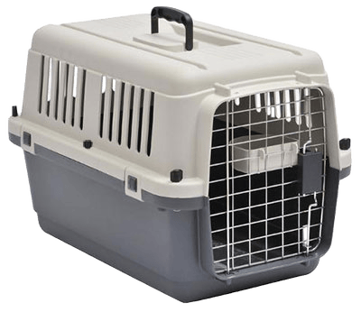 Airline Carrier