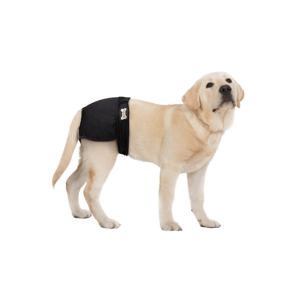 Reusable Female Diaper