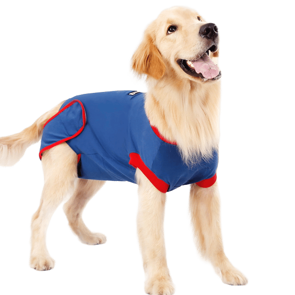 Protective Recovery Dog Body Suit