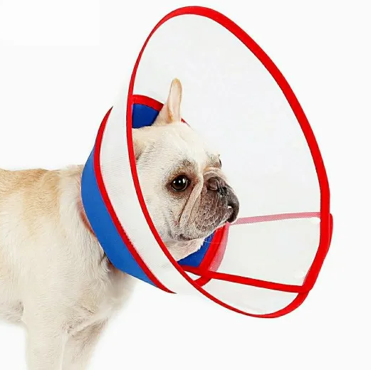 Elizabethan Recovery Dog Cone For Small Breeds