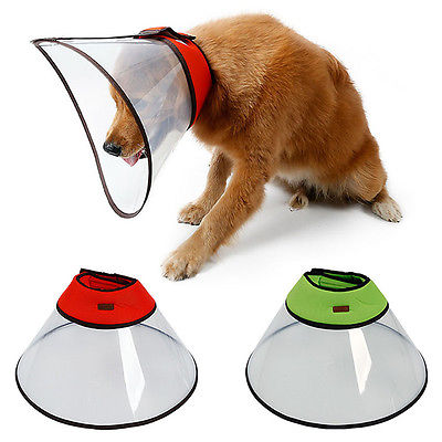 Elizabethan Collar For Large Breeds