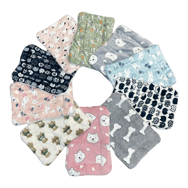 Luxury Soft PET Blanket