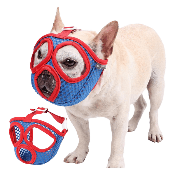 Short Nose Dog Muzzle