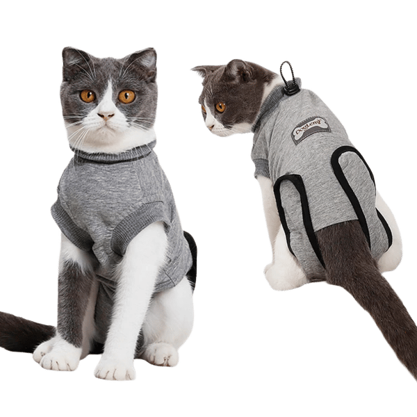 Protective Recovery Cat Body Suit