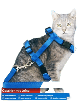 Trixie Cat Harness & Lead
