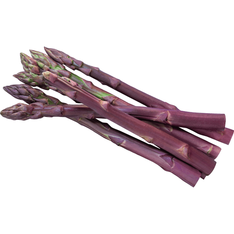 Harvest Purple Asparagus