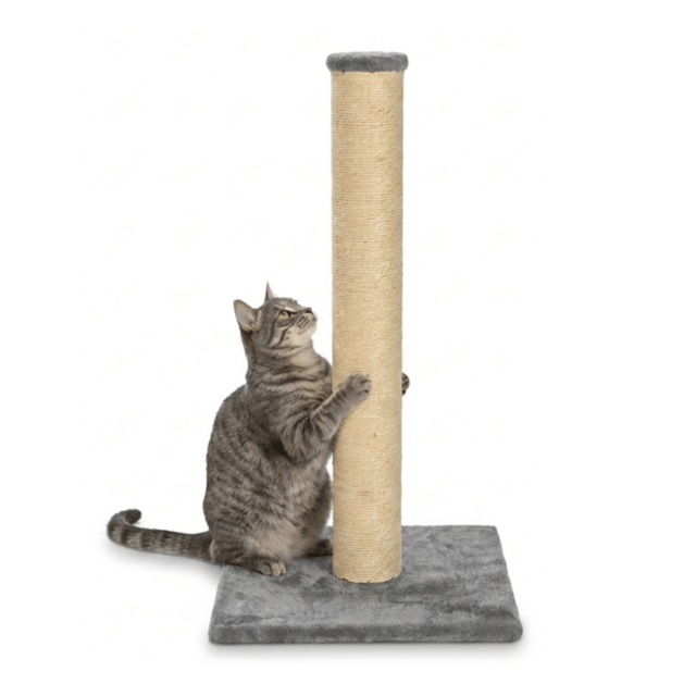 Pup & Purr Harper Tall Cat Scratch Post - Grey