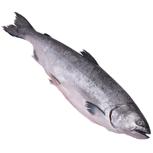 Whole Baby Salmon
