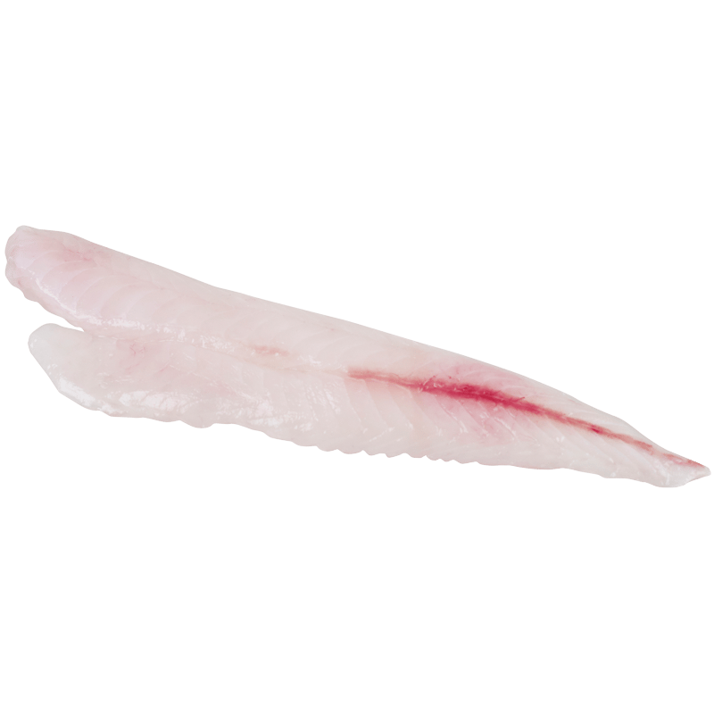 Fresh NZ Red Gurnard Fillets Skin On