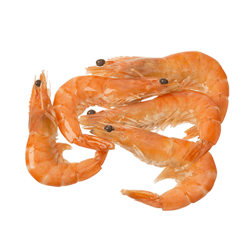Vannamei Whole Cooked Prawns