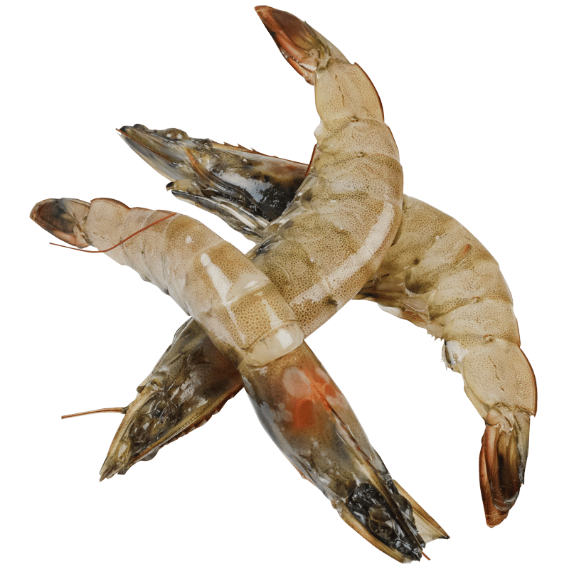 Whole Raw Vannamei Prawns (Prefrozen)