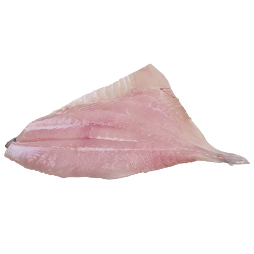 Dory Skin On Fillets