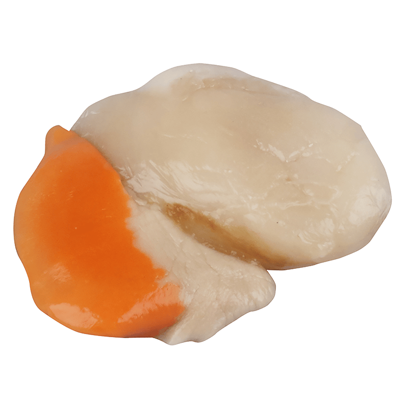 NZ Scallops Shucked (Frozen)