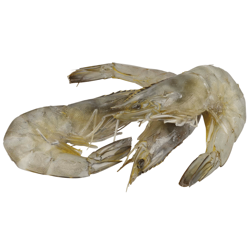 Whole Raw Vannamei Prawns (Frozen)