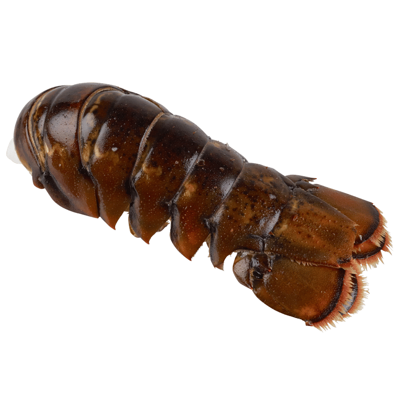 Frozen Raw Lobster Tail