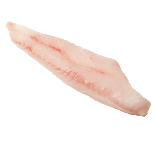 NZ Dressed Monkfish (Stargazer)