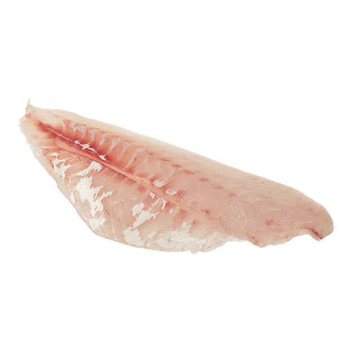 NZ Skinned & Boned Grey Mullet