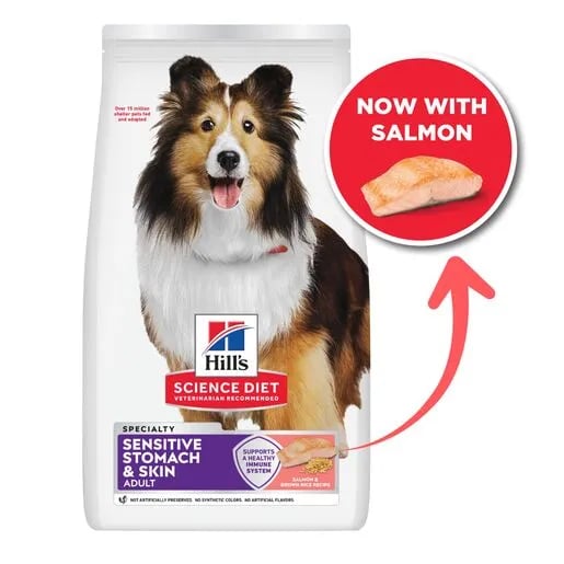 Hill's Science Diet Sensitive Stomach & Skin Salmon Dog Food 10.8kg