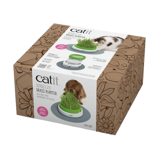 Senses 2.0 Grass Planter