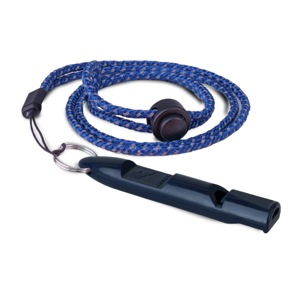 Coachi Training Whistle