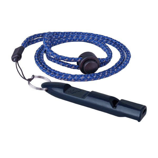 Coachi Training Whistle