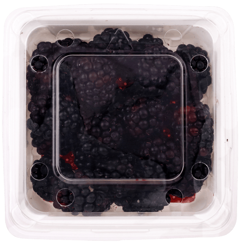 NZ Blackberries