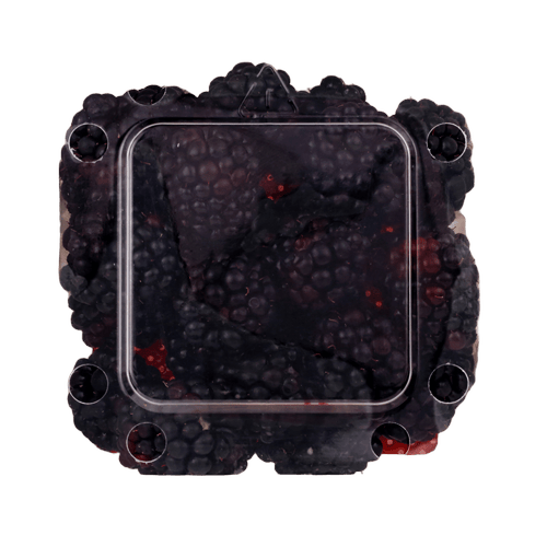 NZ Blackberries