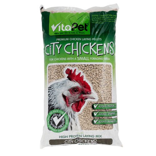 City Chickens Laying Food Pellets