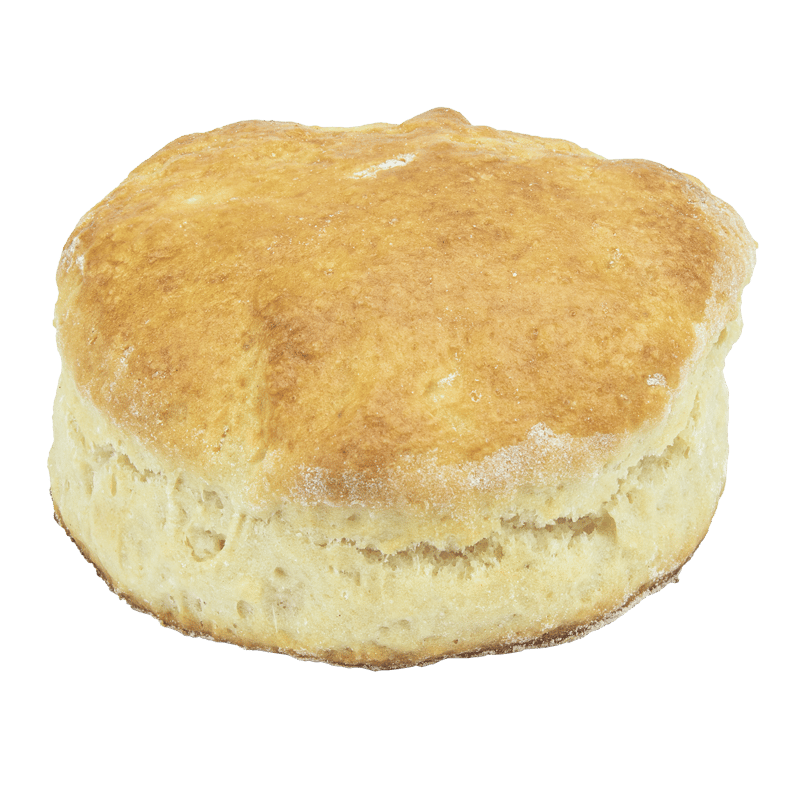 Plain Scone