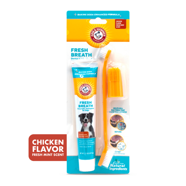 Arm & Hammer Fresh Breath Chicken Dental Kit For Dogs