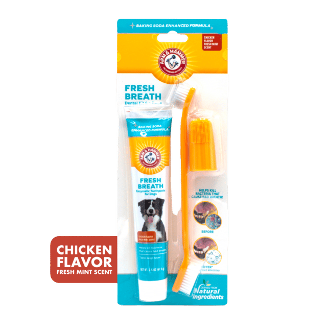 Arm & Hammer Fresh Breath Chicken Dental Kit For Dogs