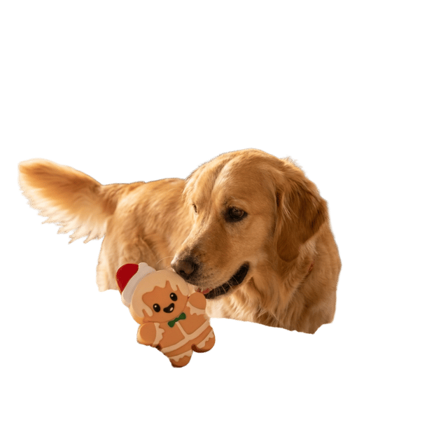 M-Pets Christmas Gingerbread Man Squeaker Dog Toy - Small