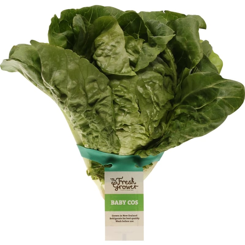 Salads & Herbs